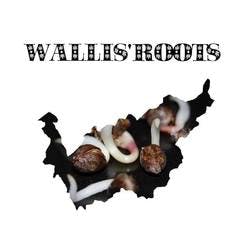 Wallis’Roots
