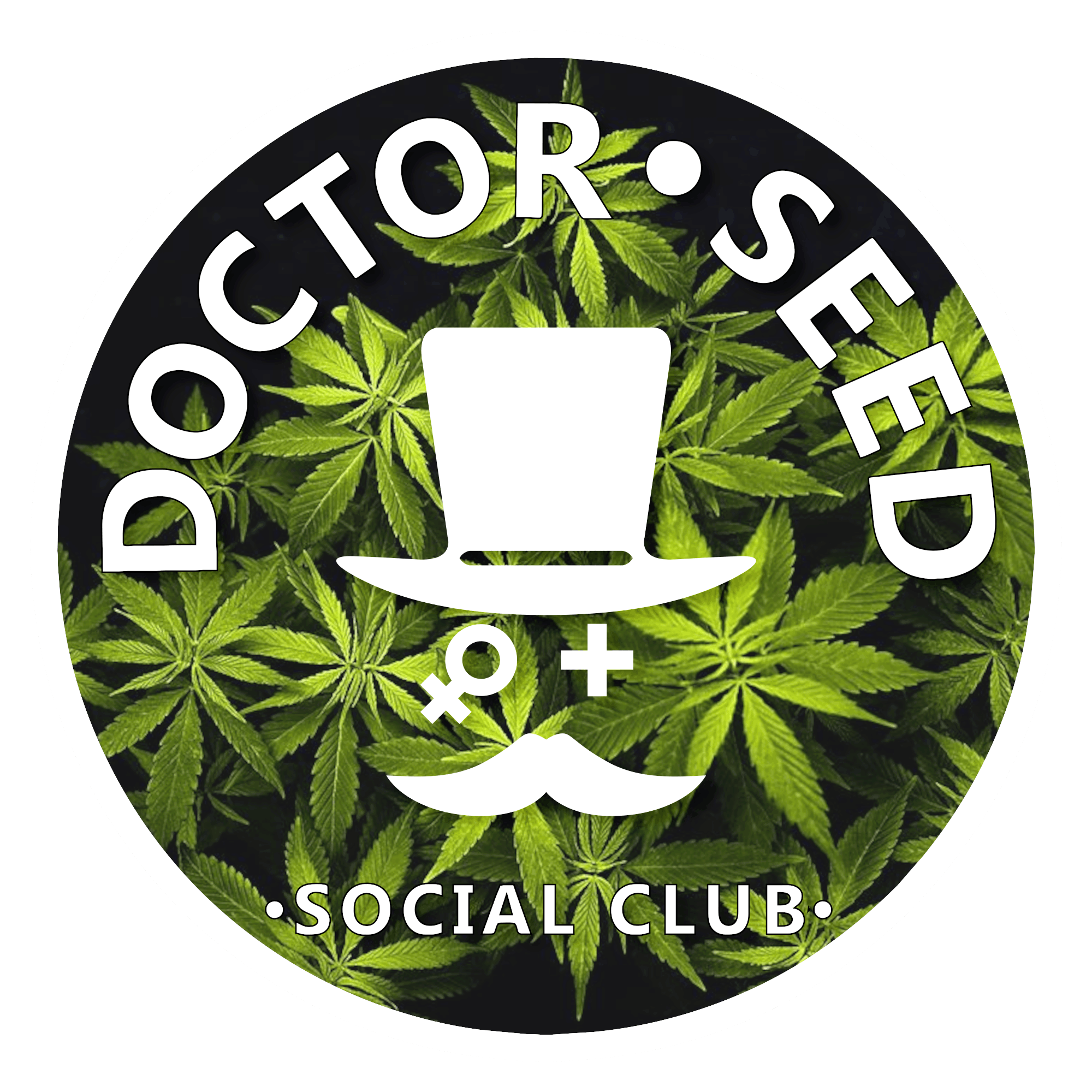 Doctor Seed
